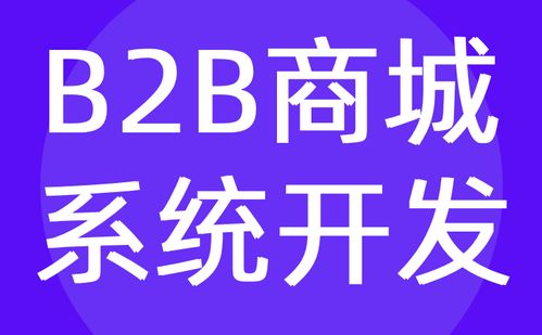 B2B商城系統開發 批發 電商平臺定制公司 紅匣子科技